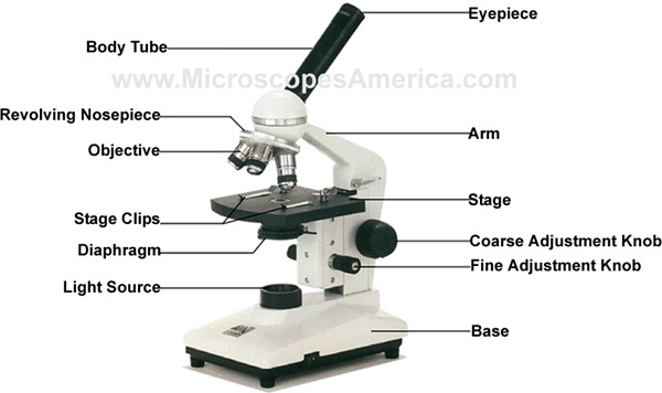 Microscopes Parts